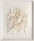 Natural Coral in White Wall Art